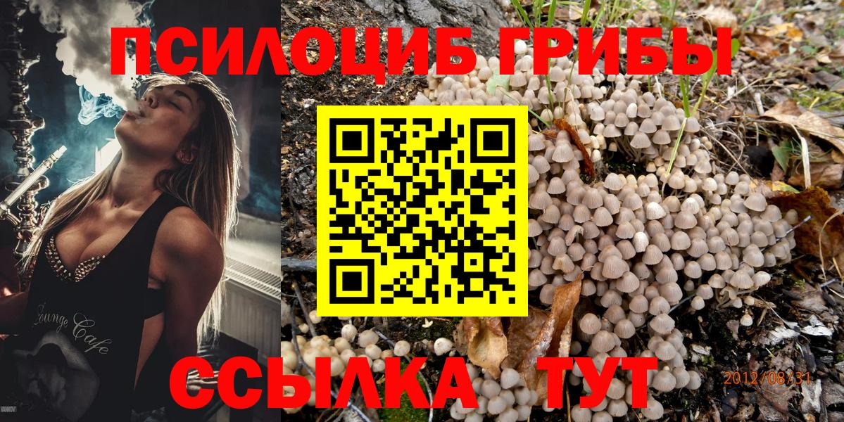 Псилоцибиновые грибы прущие грибы Орёл